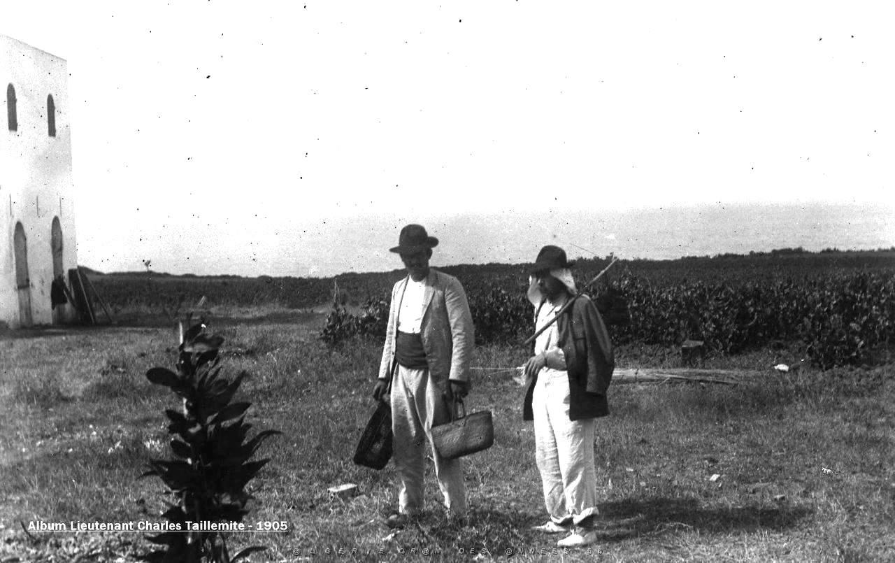 Images d'Algerie 057a.jpg